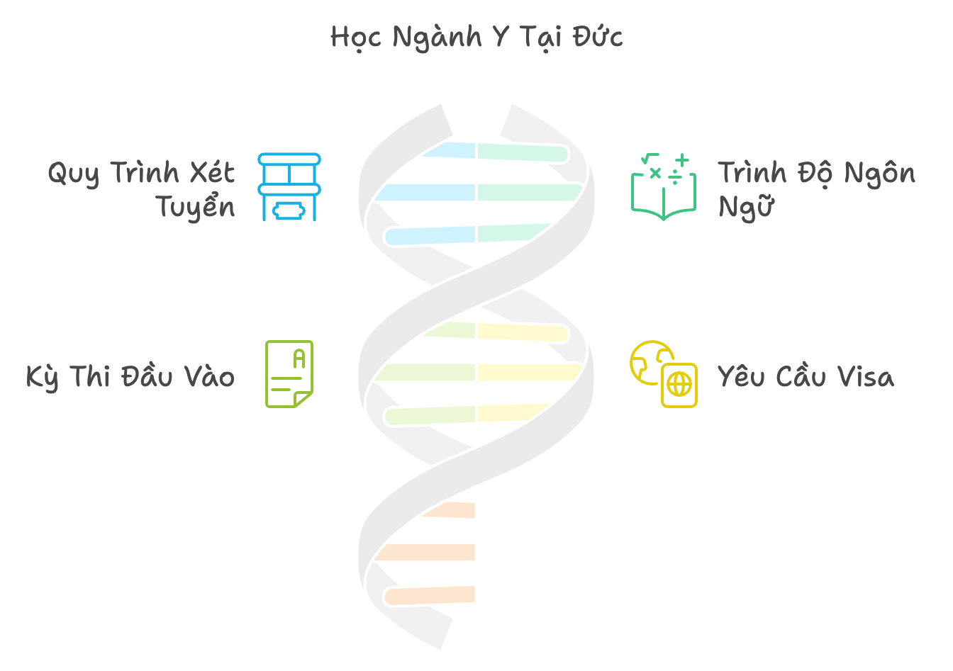 Học Ngành Y Tại Đức: Quy Trình Xét Tuyển Chi Tiết Cho Sinh Viên Quốc Tế